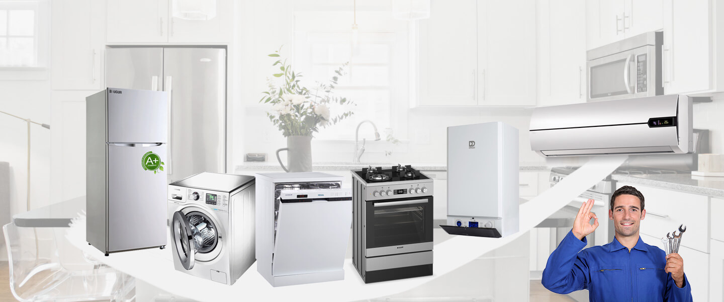 Sarayköy Electrolux Servisi